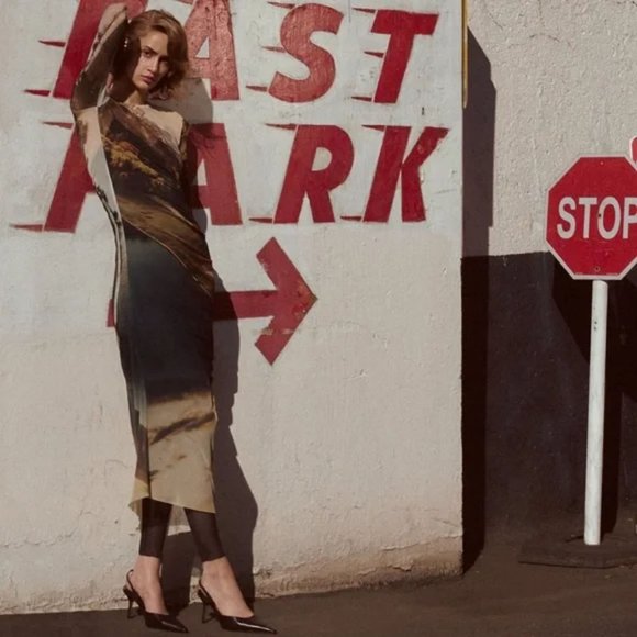 ZARA TULLE DRESS - Picture 6 of 6